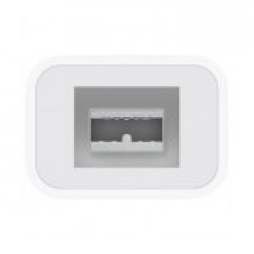 Apple Thunderbolt to FireWire Adapter