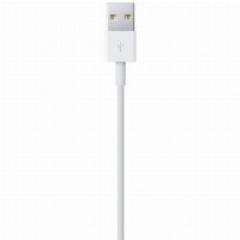 Apple Lightning - USB Kabel 0,5M Rtl