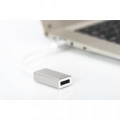 KAB USB C > Adapter Displayport Buchse (4K 30Hz) Digitus