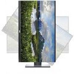 68,5cm/27 (2560x1440) Dell P2720D IPS 16:9 8ms DisplayPort USB HDMI VESA Pivot Quad HD Black