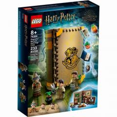 SOP LEGO Harry Potter Kräuterkundeunterricht 76384