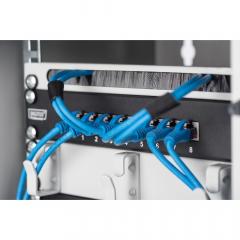 NWS Wandschrank 10 6HE 254mm Digitus Farbe Grau (RAL 7035) Glastür