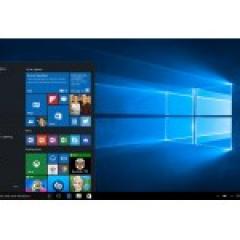 Windows 10 Pro 64bit (DE)