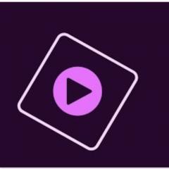 Adobe Premiere Elements 2022 - perpetual - DE - Box