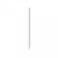 Apple Pencil (2nd Generation) für iPad Pro 11 und 12,9 (4.u.5. Gen.) iPad Air (4. Gen) *New*