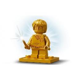 SOP LEGO Harry Potter HW: Missl. Vielsaft-Tr 76386