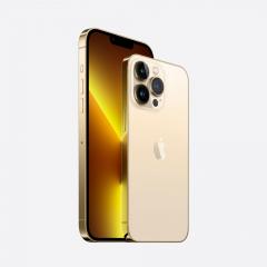TEL Apple iPhone 13 Pro Max 512GB (gold) *NEW*