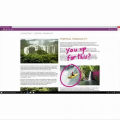 Windows 10 Pro 64bit (Eng inter / UK)