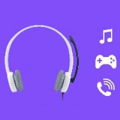 Logitech Stereo Headset H150 On Ear Klinke