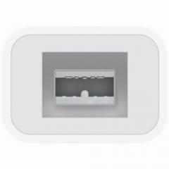 Apple Thunderbolt to FireWire Adapter