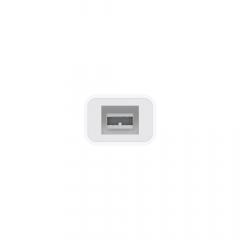 Apple Thunderbolt to FireWire Adapter