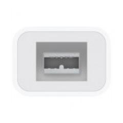 Apple Thunderbolt to FireWire Adapter