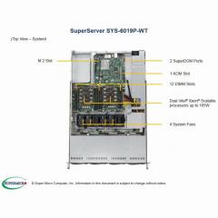 Barebone Server 1U Dual 3647 4Hot-swap 3,5 600W Platinum SuperServer 6019-WT